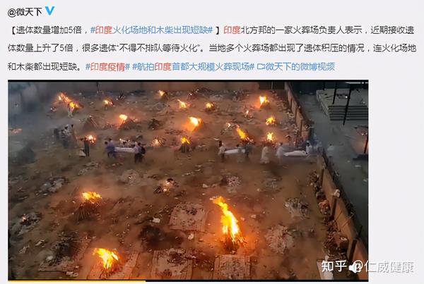 全面解析，火葬的最新趋势与发展