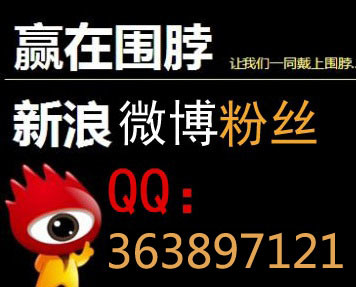 电动旗杆 第59页