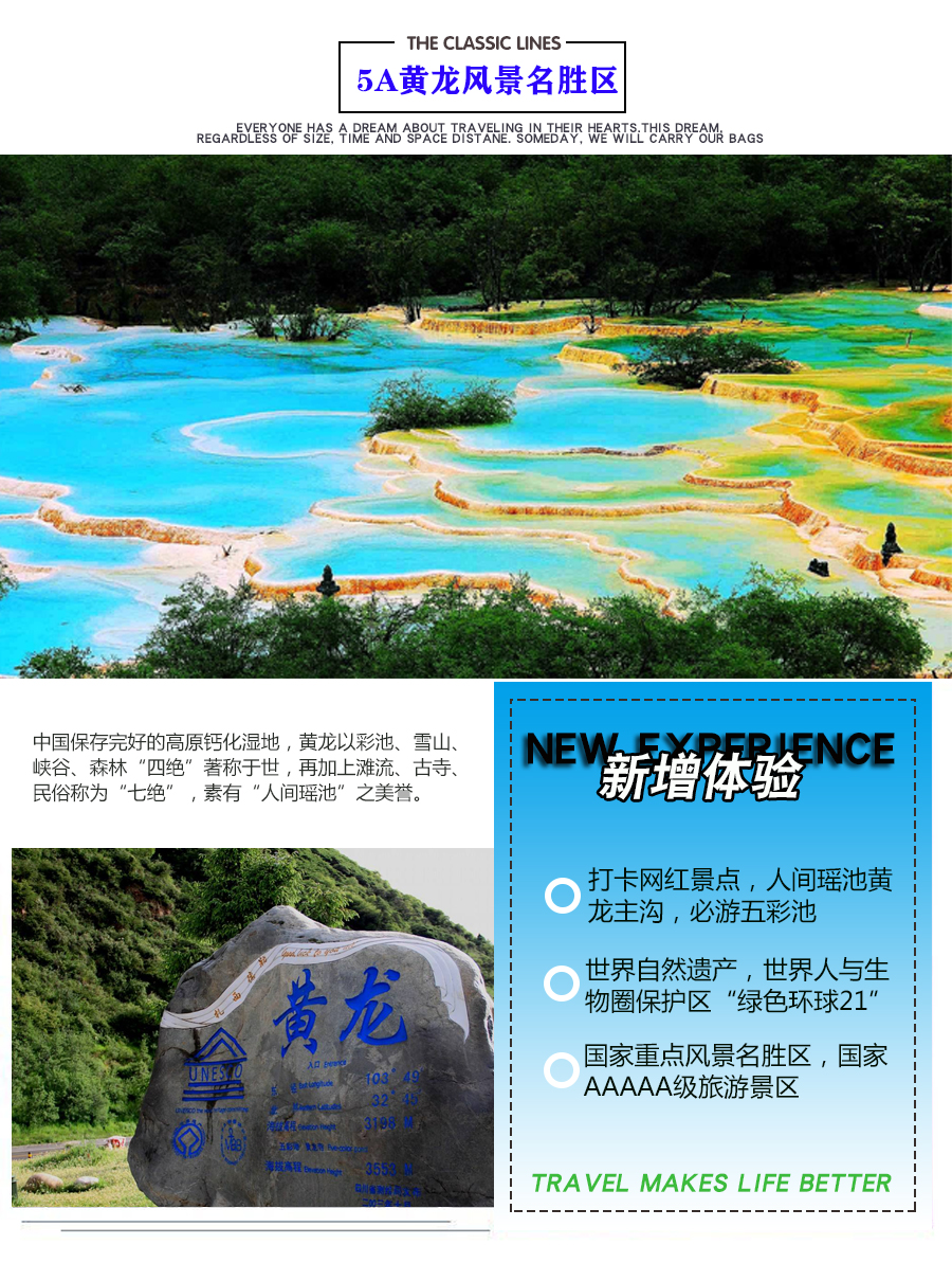 最新黄龙，全面观点阐述与深度分析