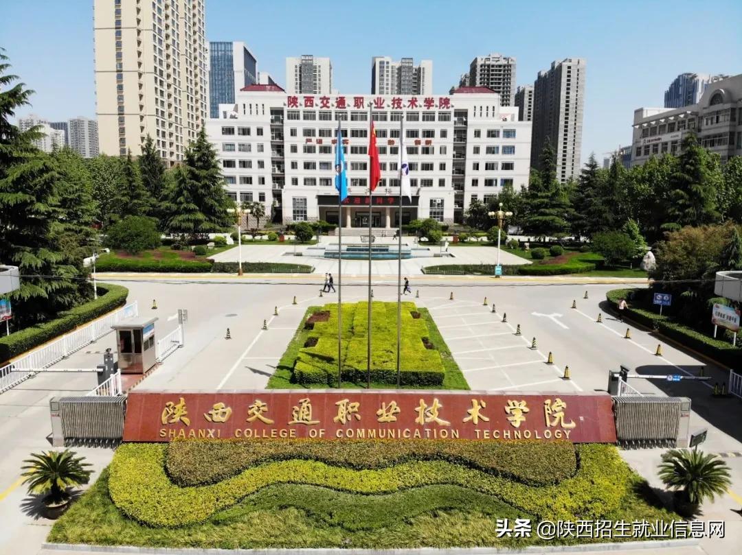 国家最新职业发布与小巷独特风味探索之旅