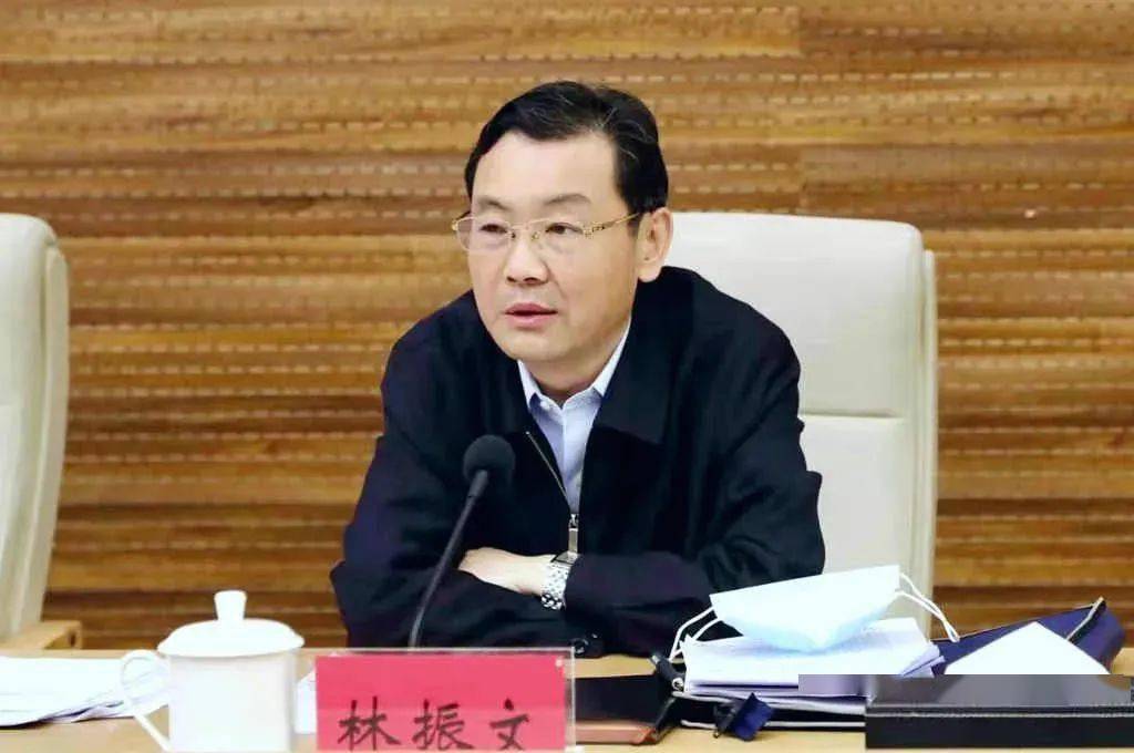 林绪文最新职务揭秘，小巷中的美食宝藏探索者