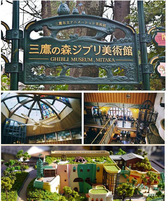龙猫最新官网重磅更新，奇幻世界新纪元开启！